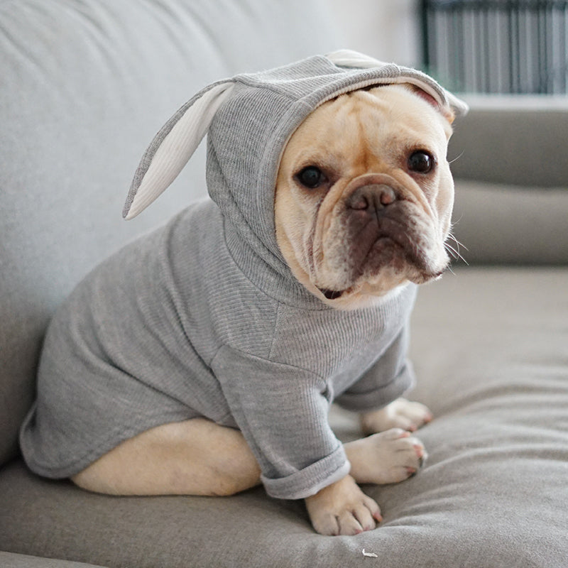 Dog "Hoodie" With Ears