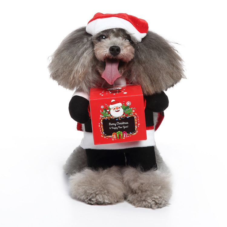 Dog Halloween Costume Collection — Cute & Funny Pet Outfits (Raccoon, Rabbit, Panda, Pirate, Cowboy & More)