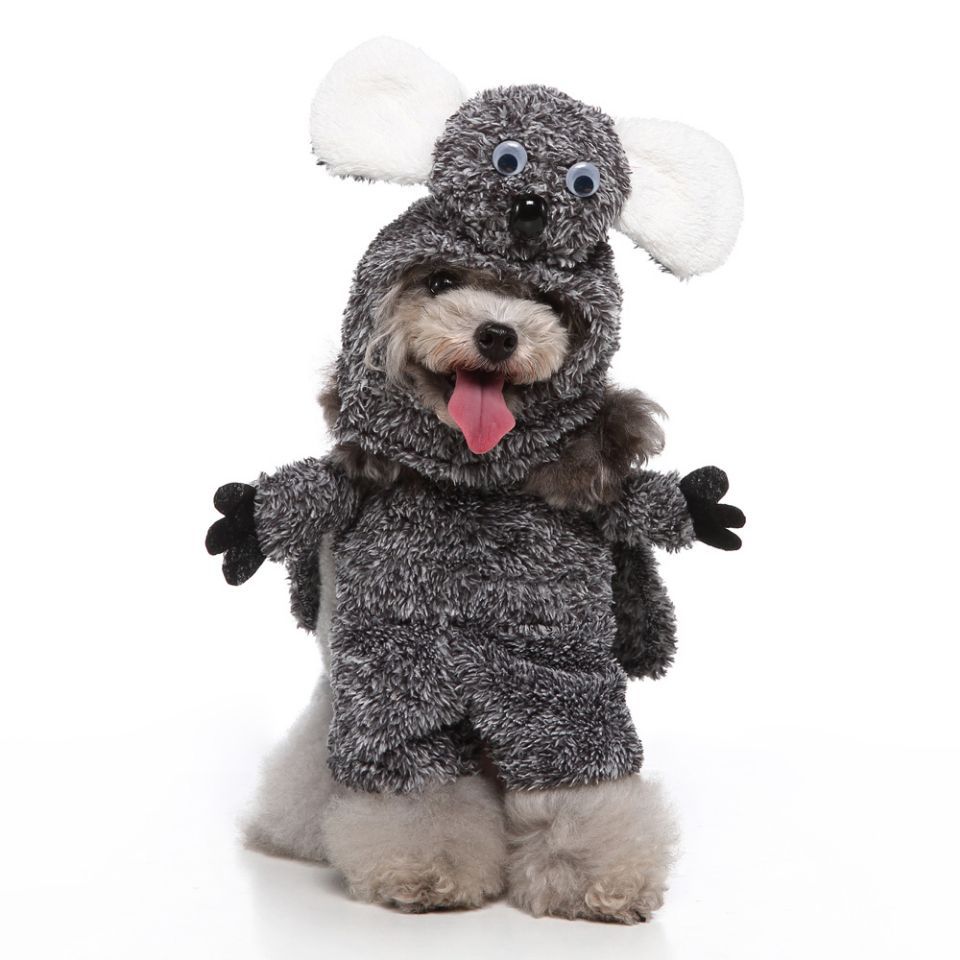Dog Halloween Costume Collection — Cute & Funny Pet Outfits (Raccoon, Rabbit, Panda, Pirate, Cowboy & More)