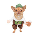 Small German Oktoberfest Dog Costume – 2‑Piece Barktoberfest Outfit