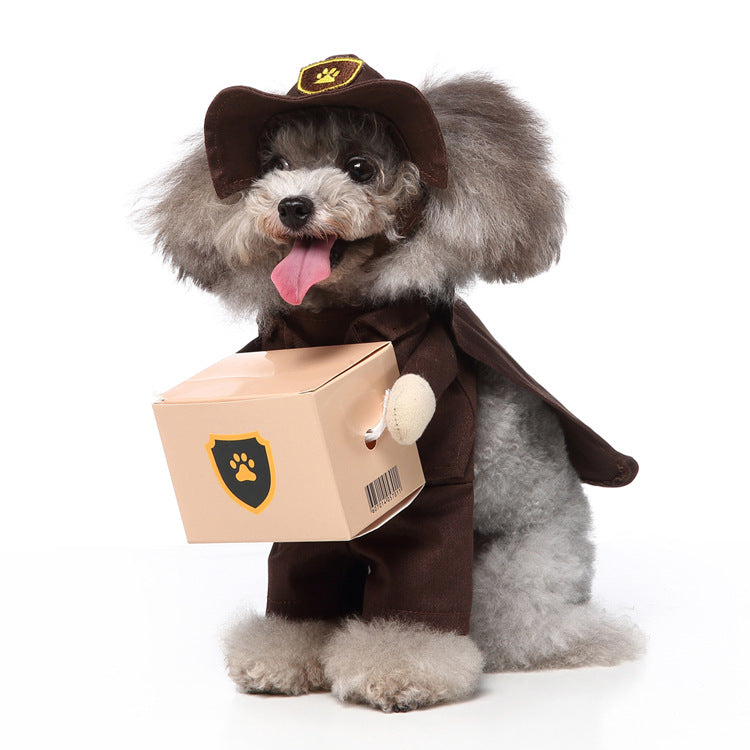 Dog Halloween Costume Collection — Cute & Funny Pet Outfits (Raccoon, Rabbit, Panda, Pirate, Cowboy & More)
