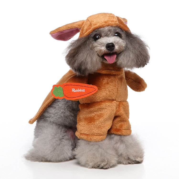 Dog Halloween Costume Collection — Cute & Funny Pet Outfits (Raccoon, Rabbit, Panda, Pirate, Cowboy & More)